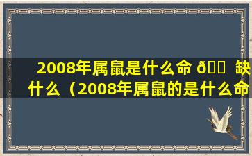 2008年属鼠是什么命 🐠 缺什么（2008年属鼠的是什么命 第一星座）